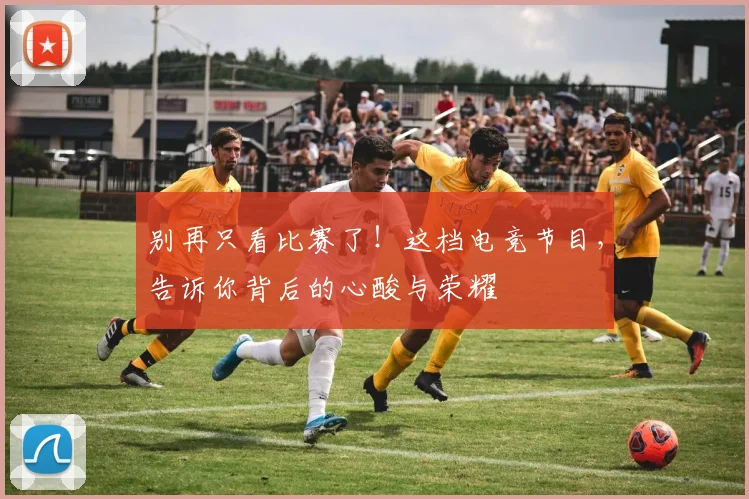 别再只看比赛了！这档电竞节目，告诉你背后的心酸与荣耀