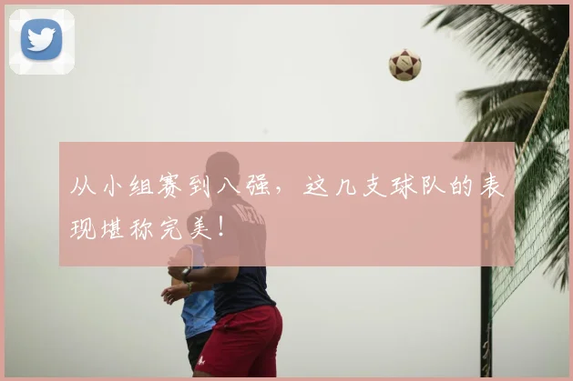 从小组赛到八强,这几支球队的表现堪称完美!
