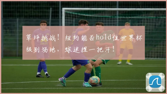草坪挑战！纽约能否hold住世界杯级别场地，球迷捏一把汗！